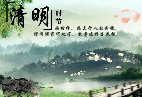 《清明时节·雨纷纷》：从文学符号到文化底蕴认知差异