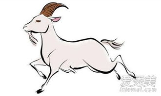 属羊男生性格脾气如何，转运物件对男性有何特殊含义？