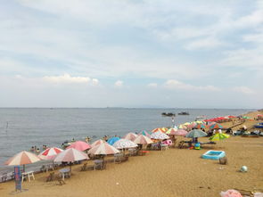 免费入园的108种奇葩方法