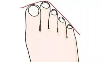 “大富大贵有七相”：传统观念中的富贵命格