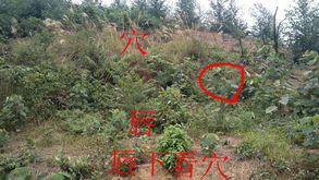 （三）避免背向马路之布局