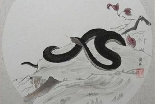 2026年属蛇人将遭遇哪三大喜事？