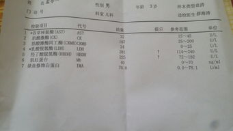 六、 退休医疗服务保险调整背景下人口数量老龄化趋势剖析