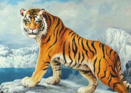 狗和老虎属相合不合婚姻，他们的婚姻关系会怎样？