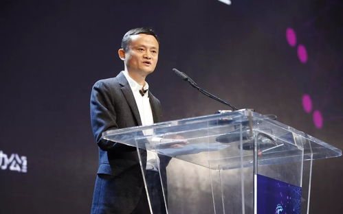五、谢世煌：隐形的力量与战略支持