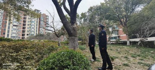 养护不当会招灾？！