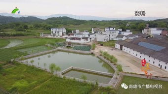 二、环境整治：从清洁卫生到绿色植被的多维提升