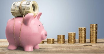 <猪猪侠>傻人有傻福？我看是憨厚得冒泡！