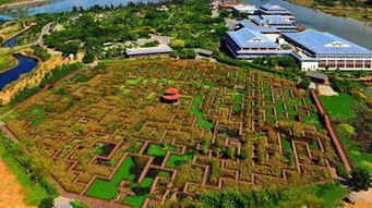 交通指南：迷宫大冒险