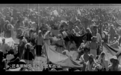 四、交通运输可靠中的超天然警示：车内异常征兆探究
