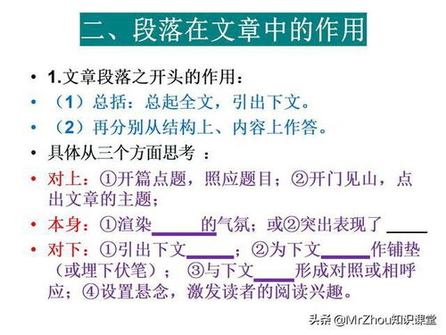 1. 创造型——竹匙掌