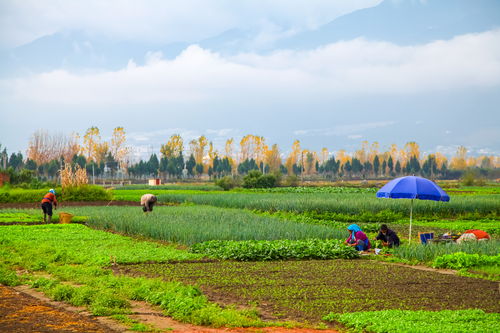 选址与风水布局的首要环节