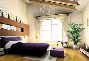 卧室摆放芦荟风水上合适吗？