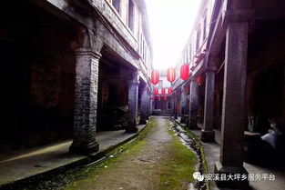 清明：缅怀与反思的时刻