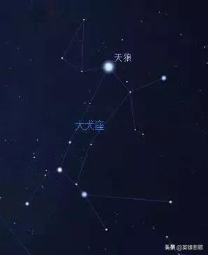那些年我们一起追过的星星