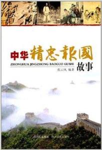 《精忠报国》的故事简介