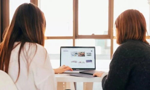 一、  职场生态中的能力：从公务员到销售精英的生存实录