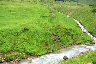 生活建议与注意事项