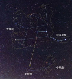 北斗七星究竟属于哪个星座？北斗星和北极星各属于哪两个星座呢？