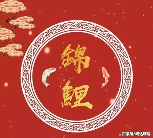 十二生肖中哪些属于天肖？十二生肖大拜年背景音乐的含义是什么？