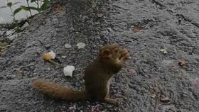 寡思少虑：返璞归真之道