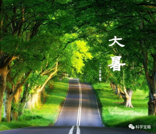 一、  大暑节气的气候学特征与物候意义