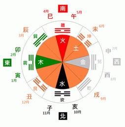 案例一：职业运势与风险因素决策的协同解析