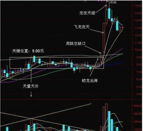 3.3 买卖货物格局
