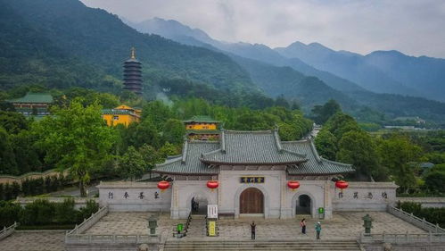 4.2 黄檗踪迹考古定位