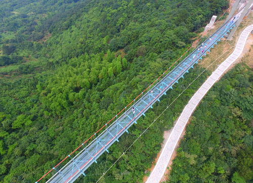 惯与那条让人又爱又恨的竹海