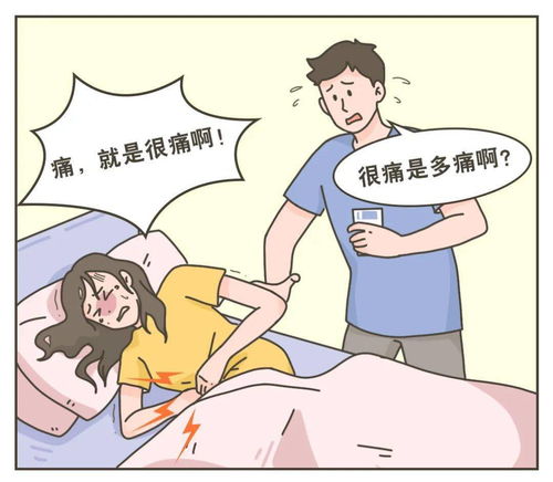 一、 从古代文献记载及民间经验看诞生日期与女性群体外貌的关联