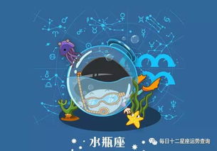 财务状况及投资策略评估