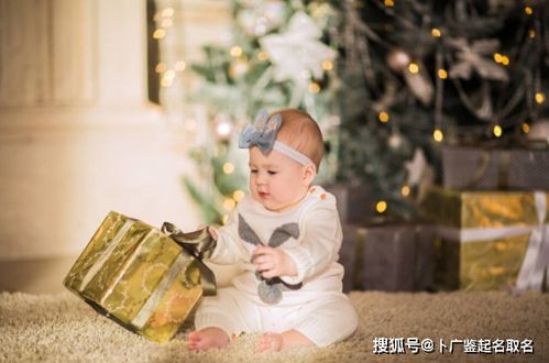 C. 小彩蛋：如果你的宝宝出生恰逢双十一， 还可以尝试取名