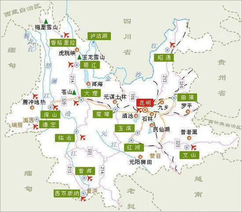 差异化策略建议