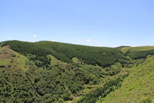 先说说那个什么大青山吧