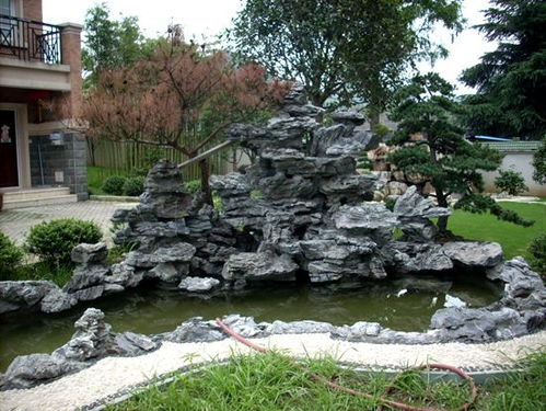 室内风水布局中，适合建造鱼池的位置有哪些讲究？