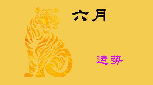 2024年运势最为突出的六较大生肖