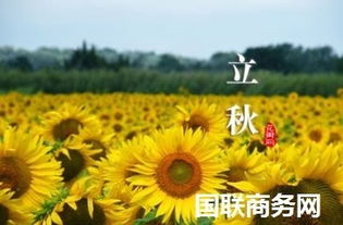 日常起居调理中的关键注意事项