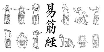 达摩简单筋经十二式基础动作解析
