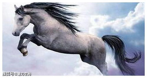 2026年属马属狗的开工吉日和搬家乔迁吉日是哪一天呢？