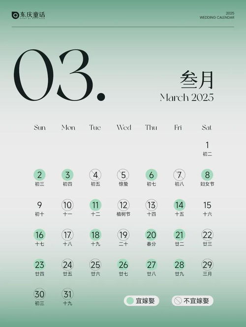 三、 2025年5月15日之详细考察