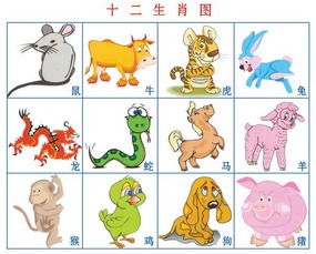 十二生肖每周运势和命理师谈运势分别指什么？