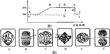 2.1 海盐置瓶法——利用海盐天然驱邪特性