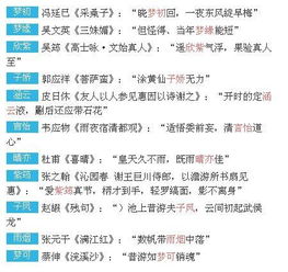 *案例二*：网络流行词撞车