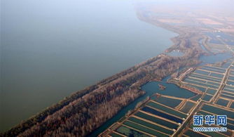 【玄学预警】2026年3月黄历说这里旺财运