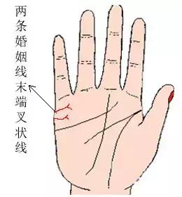 手相视角下晚婚适宜性的学术阐释