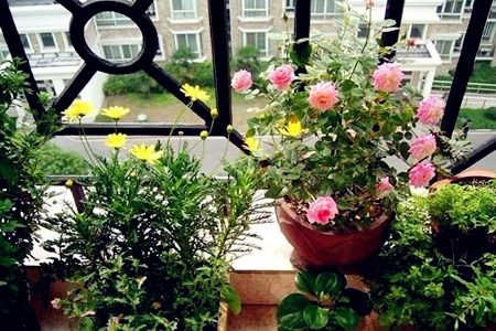 一、  属马人的性格特质与风水调节的必要性