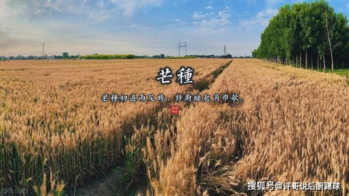 芒种时节的天象特征与农谚体现