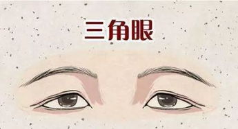 四、“剑眉星眸”与面相学的整体框架