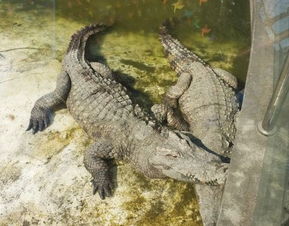 一、门票价格到底有没有优惠？